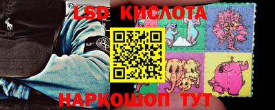 прущие грибы Будённовск
