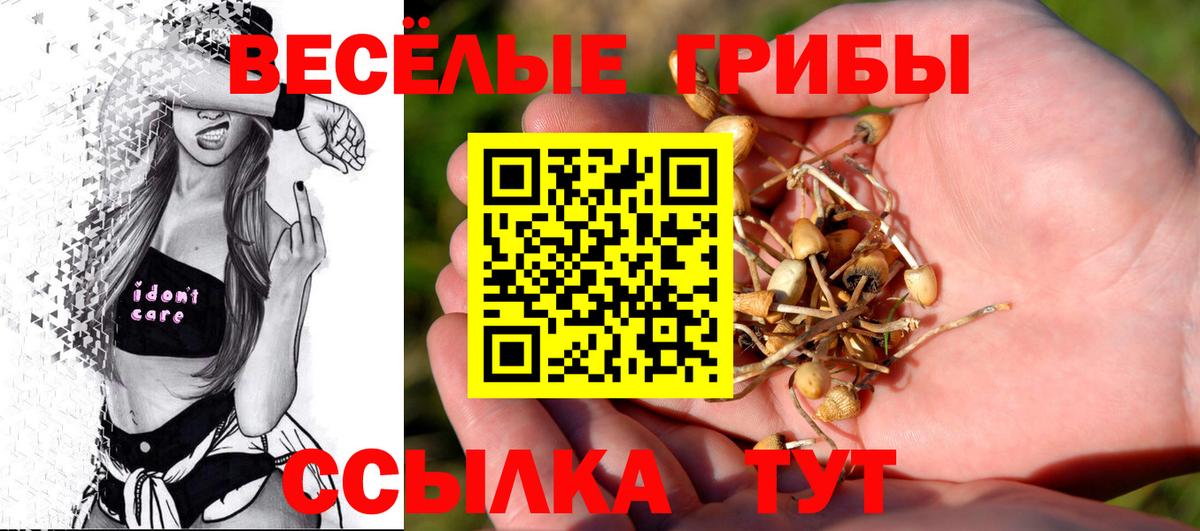 Галлюциногенные грибы GOLDEN TEACHER Прокопьевск